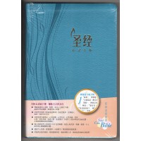 心灵关怀圣经 (环球译本版) (彩色仿皮金边) 心灵关怀圣经 (环球译本版) (彩色仿皮金边)