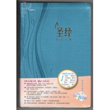 心灵关怀圣经 (环球译本版) (彩色仿皮金边) 心灵关怀圣经 (环球译本版) (彩色仿皮金边)
