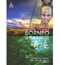 婆罗洲森林中的...